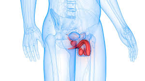 دواء ضعف انتصاب