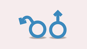 دواء انتصاب